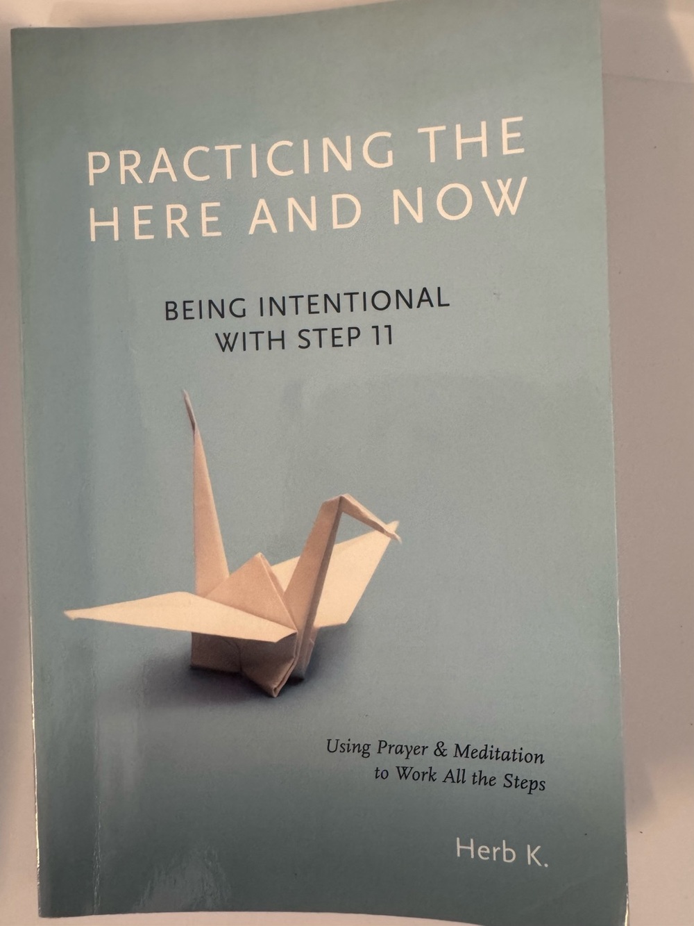 Practicing the Here and Now Book ⭐️BOGO🆓
